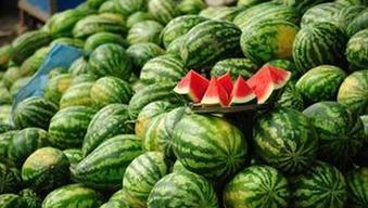 每日大赛吃瓜黑料