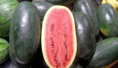 若若子吃瓜黑料,吃瓜黑料背后的真相与反思