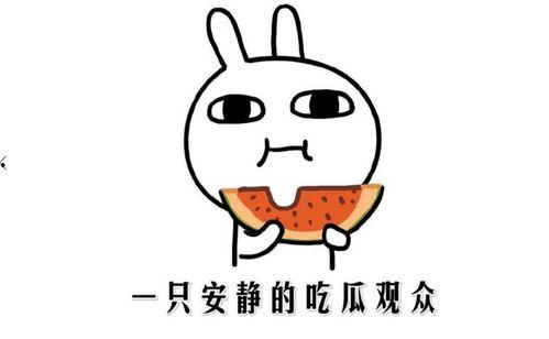 黑料热点事件黑料吃瓜,吃瓜群众如何应对网络舆论风暴